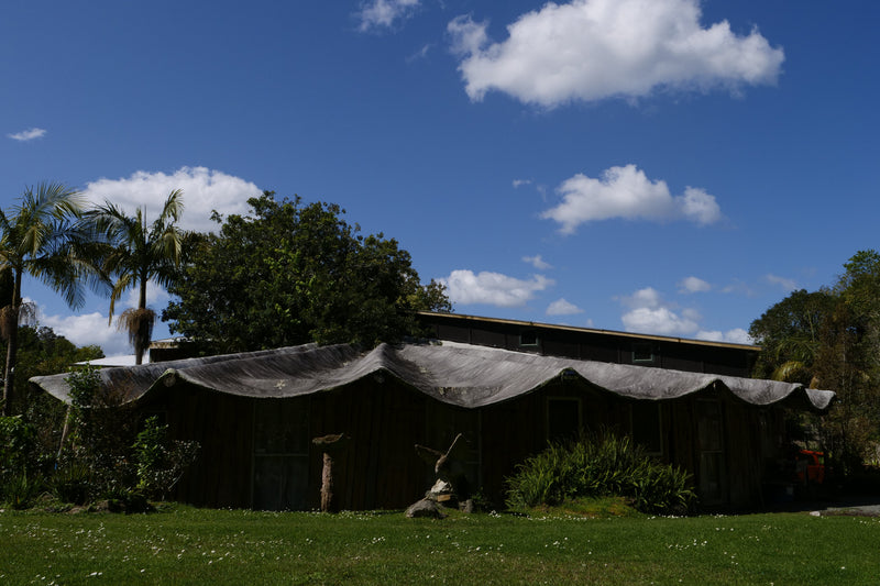 Open Day - Quarry Arts & Te Kowhai Print Trust