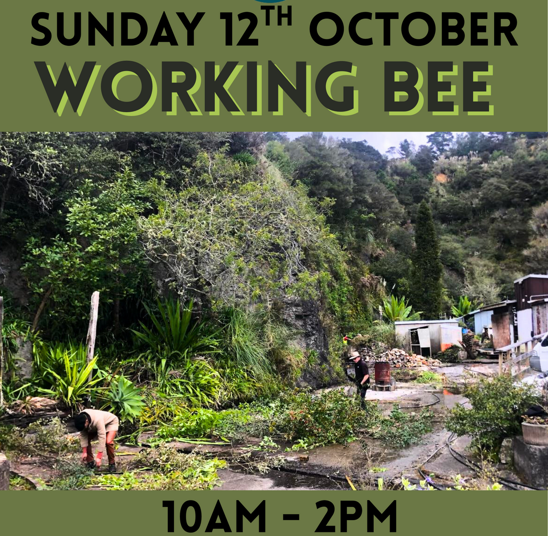 Working Bee