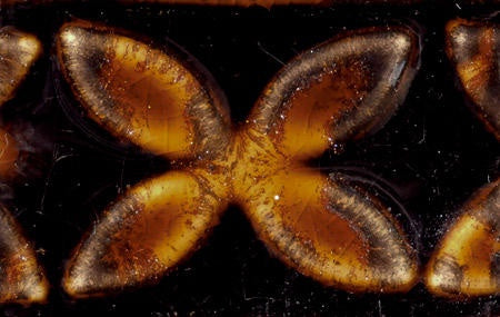 PC-64 Aventurine - SALE