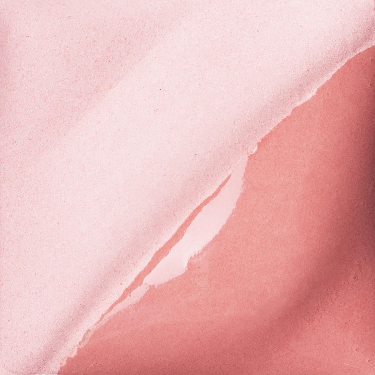V-317 Coral - Pint