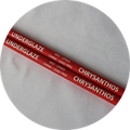 Chrysanthos Underglaze Pencil - Red