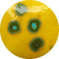Fantasy Glaze - Bumble Bee 140ml