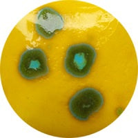 Fantasy Glaze - Bumble Bee 140ml