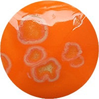 Fantasy Glaze - Sundance 140ml