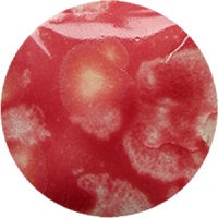 Fantasy Glaze - Marbelous 140ml