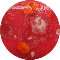 Fantasy Glaze - Fuchsia Fantastic 140ml