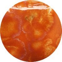 Fantasy Glaze - Muddle 140ml