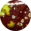 Fantasy Glaze - Murano 140ml