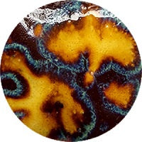 Fantasy Glaze - Algae 140ml