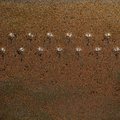 PC-69 Cosmic Gold Dust - Pint