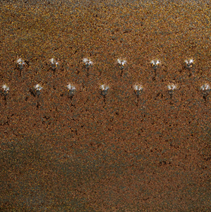 PC-69 Cosmic Gold Dust - Pint