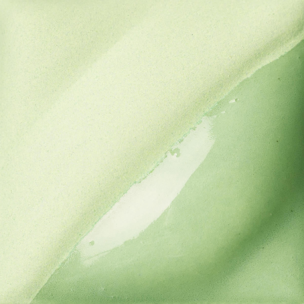 V-347 Pistachio - Pint