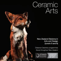 New Zealand Diploma in Arts and Design